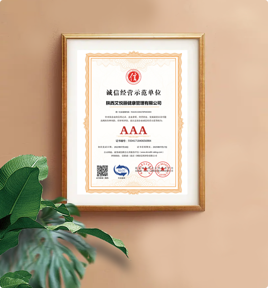 企业荣誉